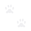 weiss_paws01.gif (1129 Byte)