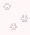 weiss_paws02.gif (1953 Byte)